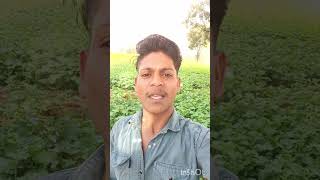 Lahro sa darkar noka par nhi hoti viralvideo shortvideo trending viralvideo [upl. by Aivatnwahs]