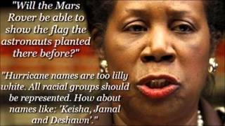 Limbaugh on quotbrilliantquot Sheila Jackson Lee ecstatic about Amnesty [upl. by Cecilius825]