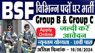 BSF Group B amp Group C Constable HC ASI SI Various Post Recruitment 2024 [upl. by Dam]