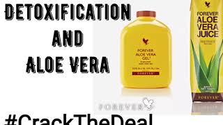 Aloe Vera Gel  Detoxification  Part  2  Hindi  Ankit Jain  FLP  Nutrition [upl. by Kletter]