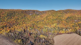 Fall Colours on the Eardly Escarpment in Quebec Canada [upl. by Egwan]