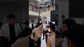 HAMMA AVJIDA trend rek svadbauz wedding uzbwedding dance svadba music uzbekistanmusic [upl. by Cavill]