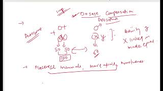 DOSAGE COMPENSATION IN DROSOPHILA [upl. by Nuncia559]