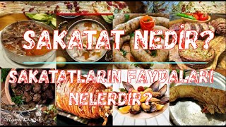 Sakatat Nedir  Sakatatın Faydaları Nelerdir [upl. by Mackoff]