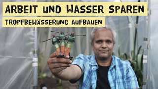 Diese Bewässerung funktioniert so einfach und genial Aufbau und Funktion der Blumat Bewässerung [upl. by Studner]