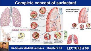 Complete concept of surfactant CHAPTER  38 LECTURE  8 [upl. by Magulac53]