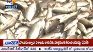 Sever Crisis in Delta Aqua Industry  జైకిసాన్  on 14th July 2014 [upl. by Leoj]