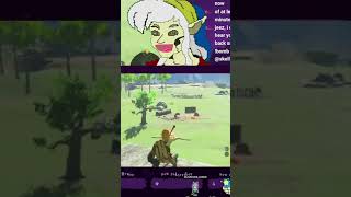 there diffrent  skellyttv on Twitch zelda link tloz botw totk breathofthewild Vtuber [upl. by Baily]