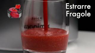 Juice Expert Magimix  Estrattore di Succo Multifunzione [upl. by Llenrev363]