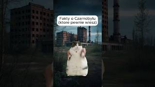 CZARNOBYL SZOKUJĄCE FAKTY shorts ciekawostki [upl. by Dadivitan699]