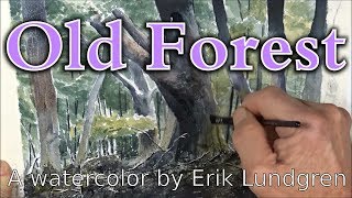 Old Forest  A watercolor by Erik Lundgren [upl. by Cinderella]