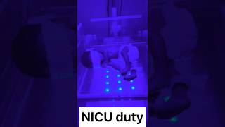 NICUNewborn for Jaundice treatment Jaundice trending MRAnsari7987 [upl. by Rayshell490]