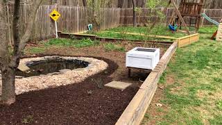 Box Turtle and Wood Turtle Outdoor Enclosure [upl. by Jackelyn484]