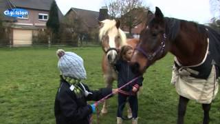 Heilpädagogisches Reiten im Bethanien Kinderdorf [upl. by Eahcim749]