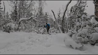 Saariselkä latutilanne 2024 Marraskuu Liukulumikengillä tunturin laidalla [upl. by Ailegra]