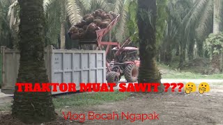 Proses muat sawit di PT [upl. by Sosna]