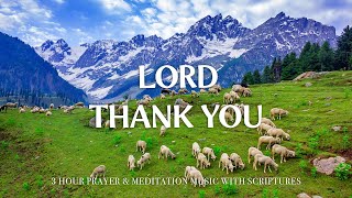 THANK YOU LORD  Instrumental Worship and Scriptures with Nature  Christian Harmonies [upl. by Reste]