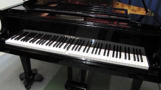 Feurich 218 Concert Grand  PianoDisc iQ iPad Air  JampL Piano UK [upl. by Treiber975]