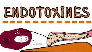 Endotoxines  Lipopolysaccharides LPS lipoglycans [upl. by Atinihc]