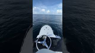 How to relieve stress sportfish yacht fishing offshore [upl. by Ettelimay691]