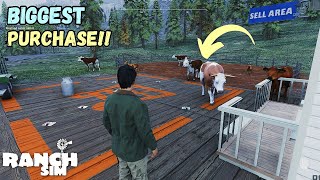 I Purchased Every Animals In Ranch Simulator For My Big Barn [upl. by Margarida]