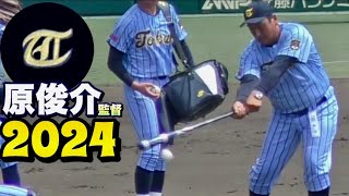 名門・東海大相模 原俊介監督のシートノック！《第106回 全国高校野球選手権大会vs富山商》 [upl. by Soracco]