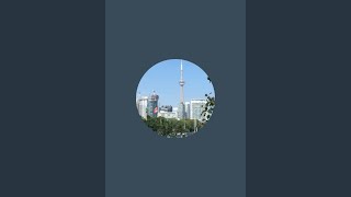 Toronto Walk is live Check this out [upl. by Lyrac]