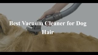 Best Vacuum Cleaner For Dog Hair [upl. by Dart937]