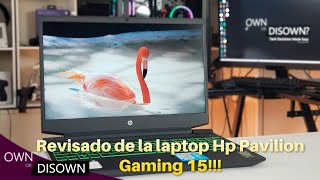 Revisión de la Laptop Hp Pavilion Gaming 15 con Ryzen 5 4600H como será [upl. by Ysset538]