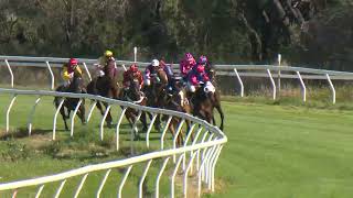 Goondiwindi 20240907 Race 3 [upl. by Courtland]