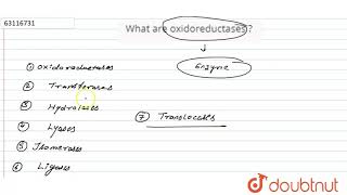 What are oxidoreductases [upl. by Cirted]