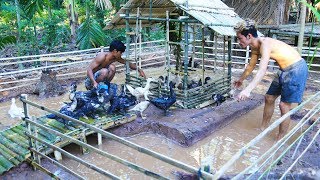 Primitive Technology how to build Swimming pool for ducks Around Underground House [upl. by Coussoule442]