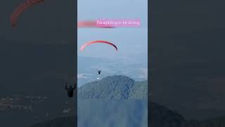 Paragliding  paragliding in bir billing highest paragliding spot bir youtube shorts [upl. by Rehtaef]