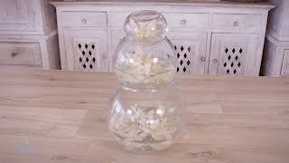 Floating Orchids in Tiered Glass Bowls Floristry Design Tutorial [upl. by Aninad]