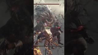 Nameless King vs Solaire darksouls darksouls3 gaming [upl. by Sokin]