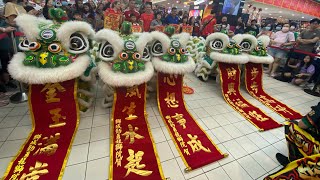 獅城勁勇龍獅院 Jin Yong Lion amp Dragon Dance Performance  Jurong Point Carlsberg CNY RoadShow on 21124 [upl. by Annitsirhc]