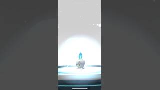 Evolving Shiny Litwick to Shiny Lampent pokemongo pogo shinypokemon [upl. by Gausman]