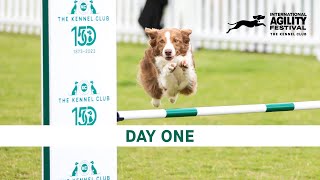 The Kennel Club International Agility Festival 2024 Day 1 Main Ring [upl. by Gwenette]