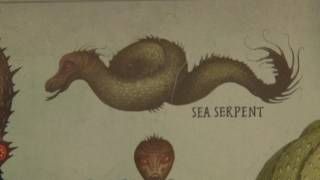 Cassie the Casco Bay Sea Serpent [upl. by Nyletak]