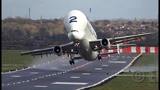 Airbus Beluga 2 Takeoff 30knots CrossWind [upl. by Winou]