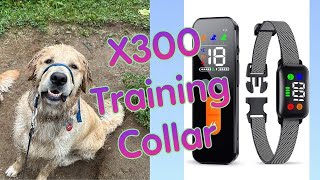 New Dog Training Collar  X300 test and review [upl. by Enelyahs]