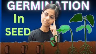 Germination in Seeds Class 10  Reproduction  Biology  MRAs [upl. by Mossman2]