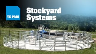 Te Pari Stockyard Systems [upl. by Olsewski]