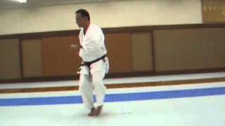 Israel Shotokan Eli Cohen Tekki Nidan Front view Slow [upl. by Kerr297]