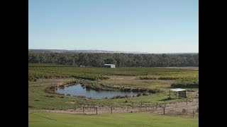 Gemtree Wines McLaren Vale Biodynamic Wines Grounded in Earth [upl. by Eelidnarb]