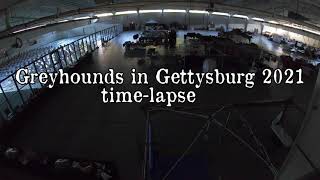 Greyhounds in Gettysburg 2021 Timelapse [upl. by Nnyliram]