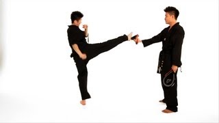 How to Do a Roundhouse Kick  Taekwondo Training [upl. by Barimah]