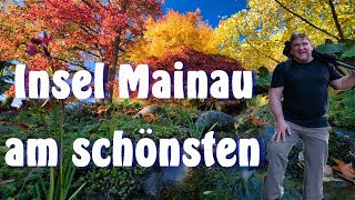 Schönste Insel Wenn sie in allen Farben leuchtet I Die Insel Mainau zu ihrer schönsten Jahreszeit [upl. by Kumler]