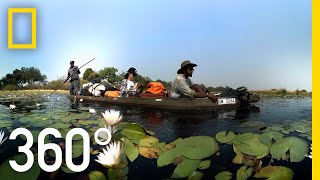 Visit the Okavango Delta in 360°  National Geographic [upl. by Cirone215]