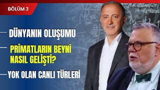 Dünyanın Oluşumu Primatların Beyni Nasıl Gelişti Yok Olan Canlı Türleri  Bölüm 3 [upl. by Ardnahsal]